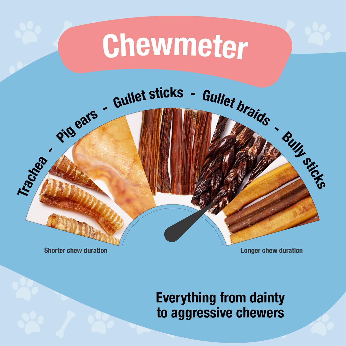 Munchkin Chews - 12" Extra Large Bully Sticks para Perros Pack de 5 unidades - 14 Oz (396g)