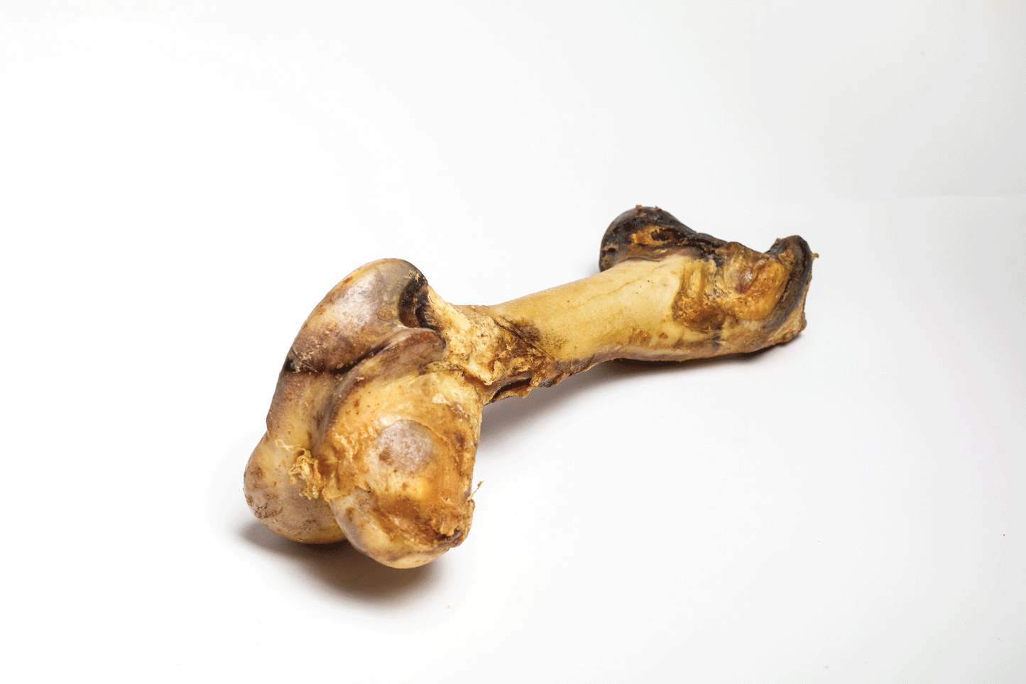 Beef Femur Bone