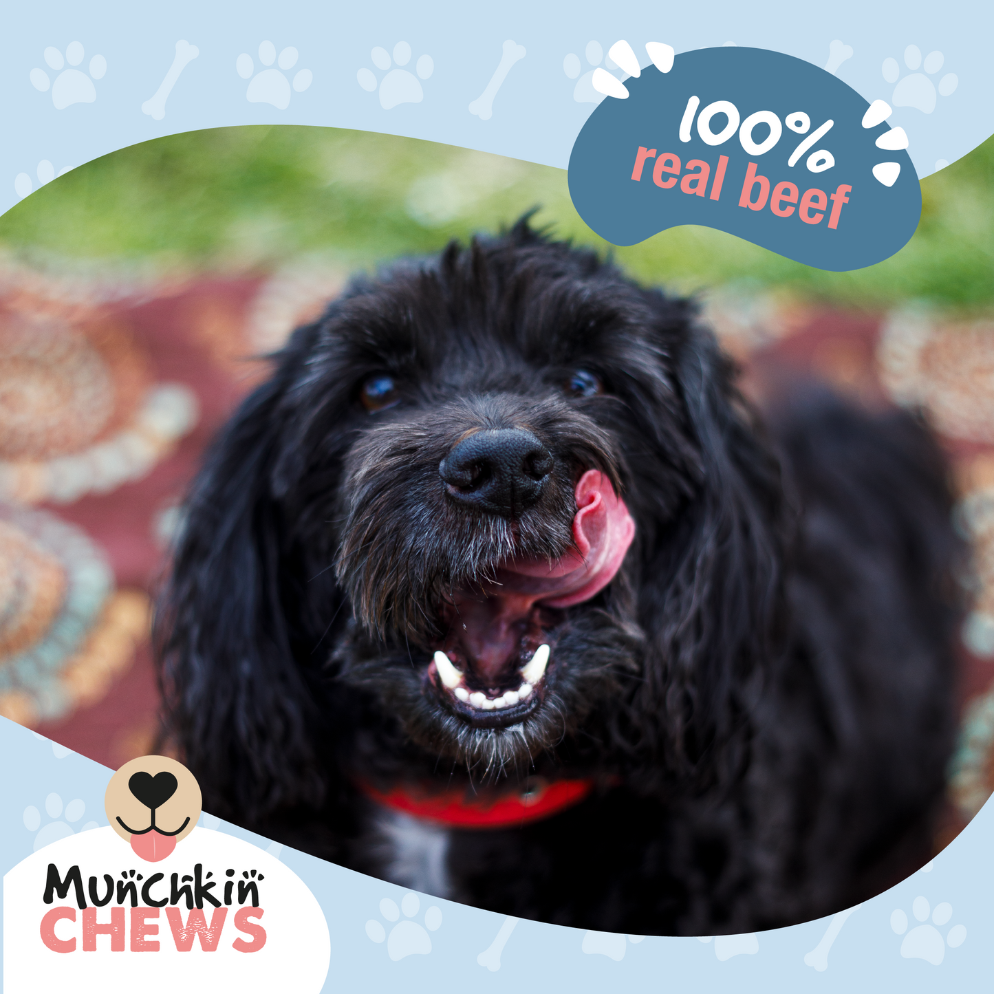 Munchkin Chews - Trachea Chips