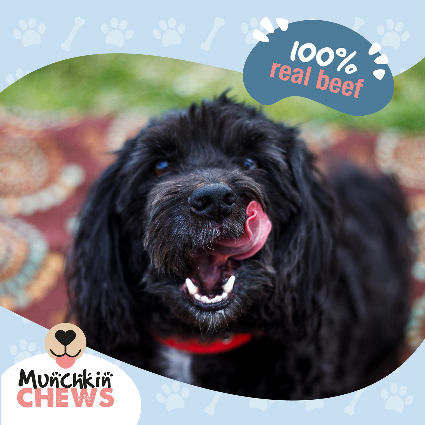 Munchkin Chews - 5" Beef Tripe Twist Pack de 20 Unidades