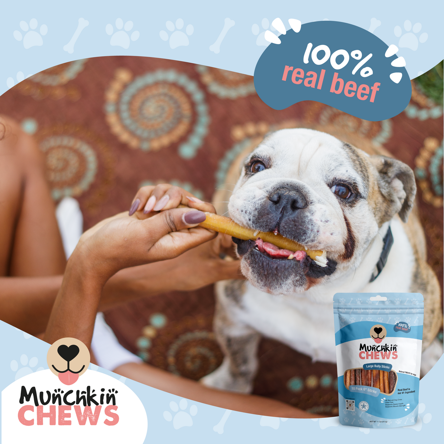 Munchkin Chews - 6" Standard Bully Sticks para Perros Pack de 10 unidades - 7 Oz (198g)