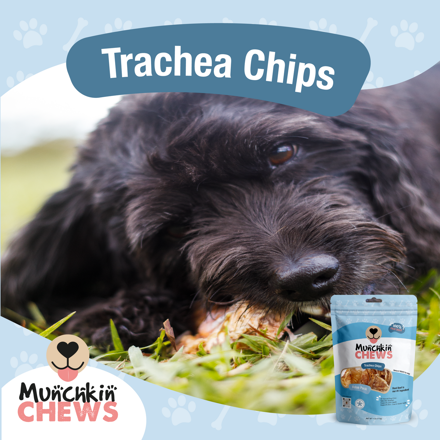 Munchkin Chews - Trachea Chips